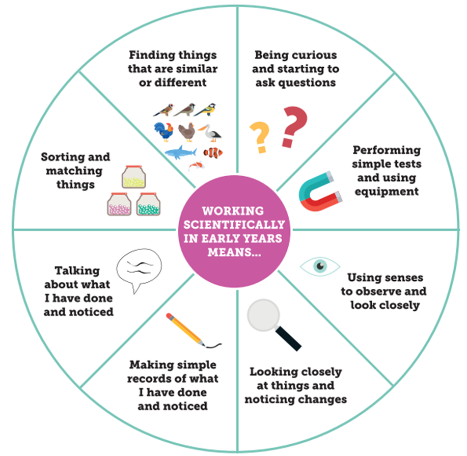 Early Years, science skill progression wheel