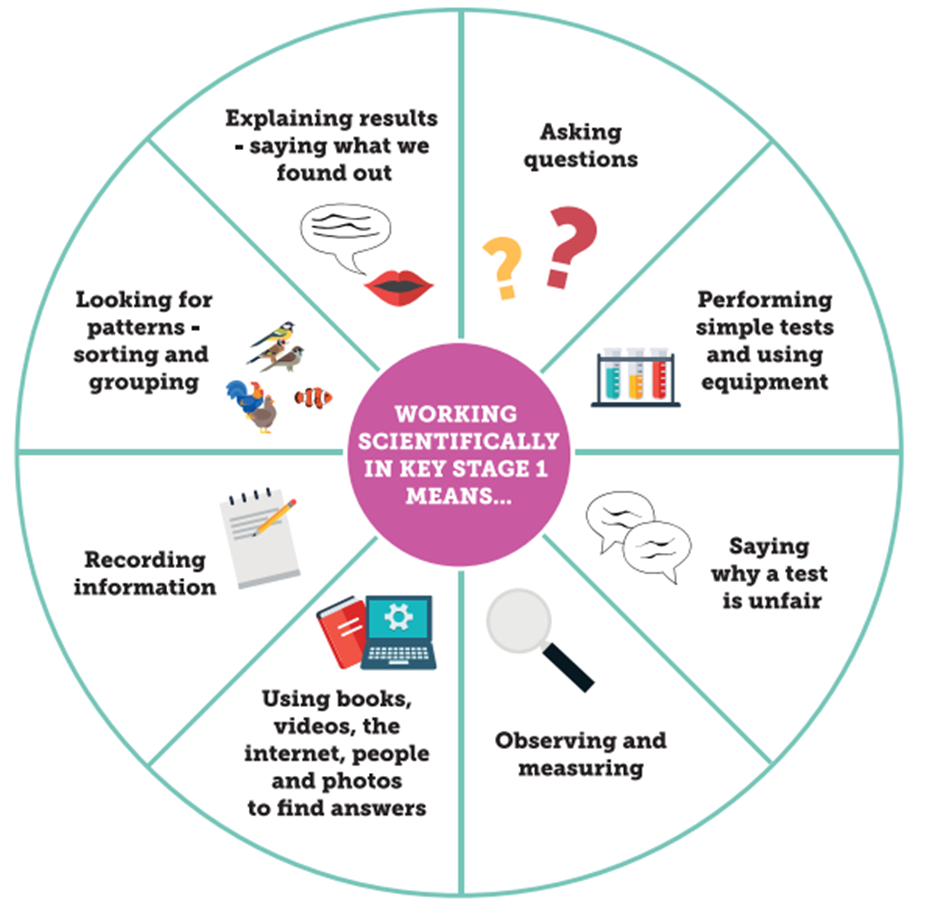 Key Stage 1 science skill progression wheel