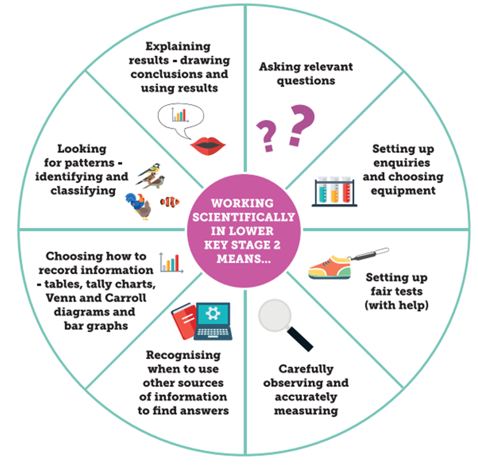 Key Stage 2 science skill progression wheel