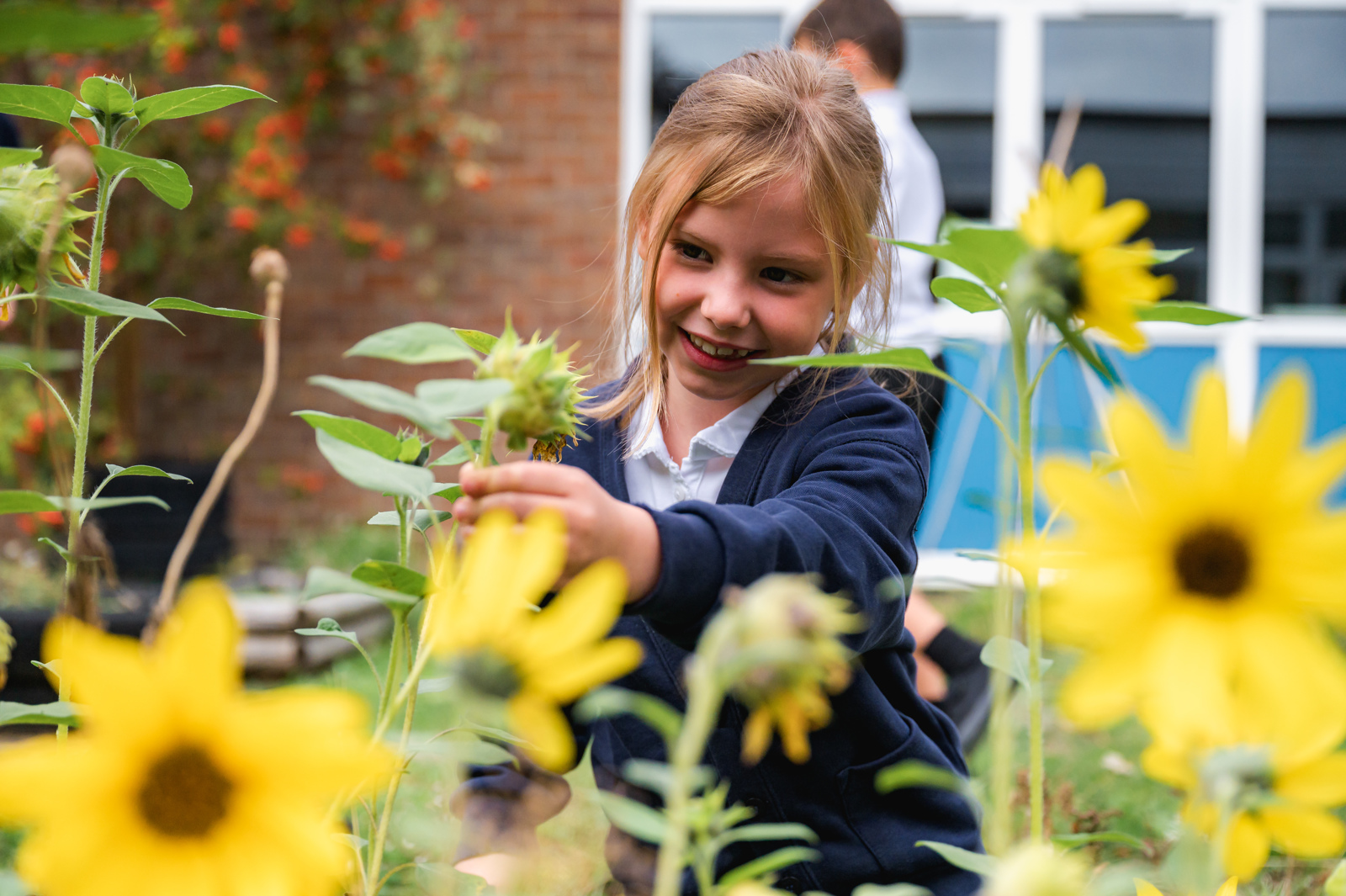 A girl sits in the allotment, smiling as she looks at one of the yellow flowers growing there.